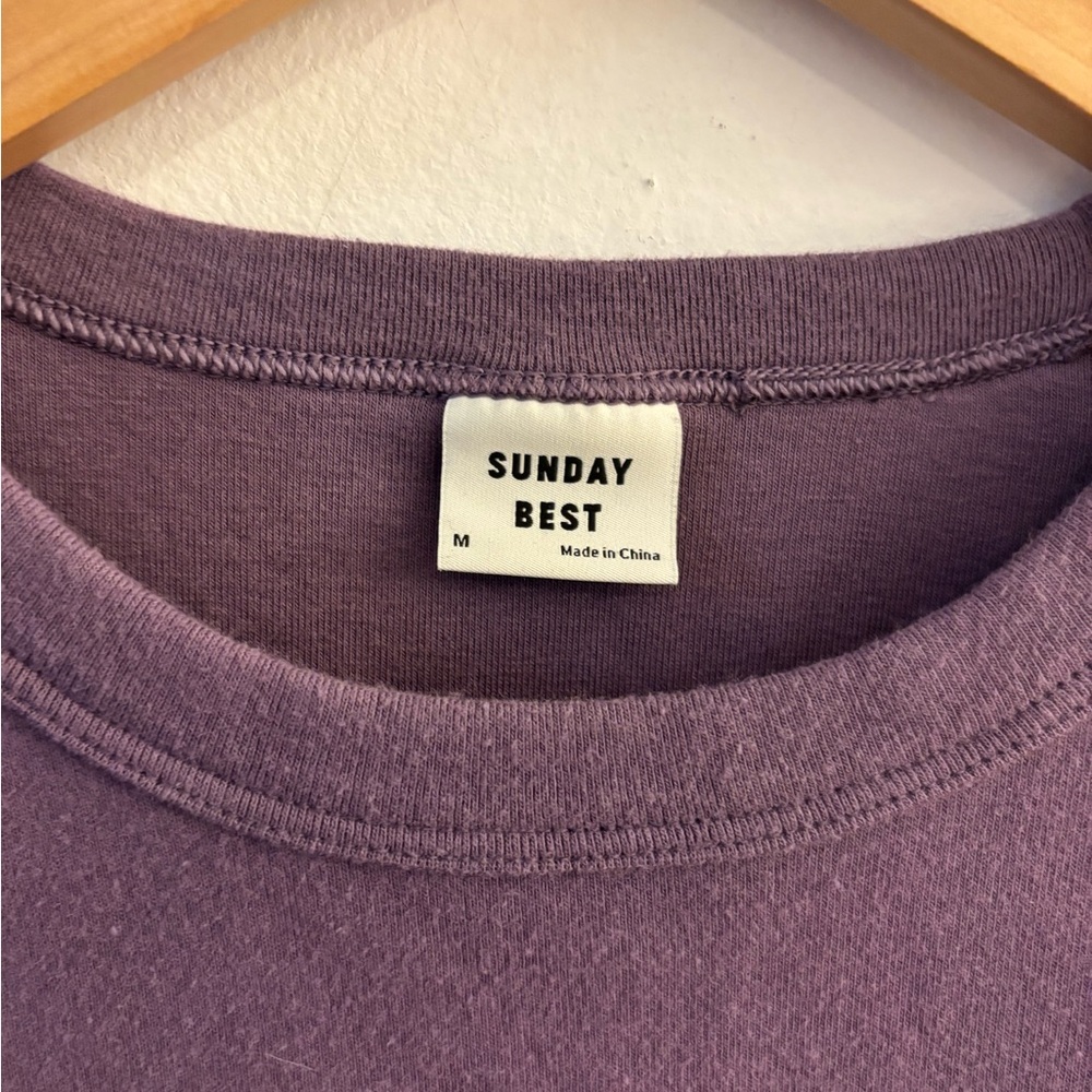 Aritzia Sunday Best Short Sleeve T-Shirt in Deep Purple, Size Medium, Cotton - Picture 3 of 5